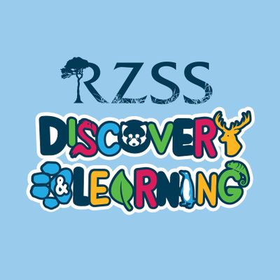 RZSS Discovery & Learning