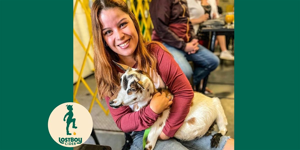 Baby Goat Social Hour at Lost Boy Cider