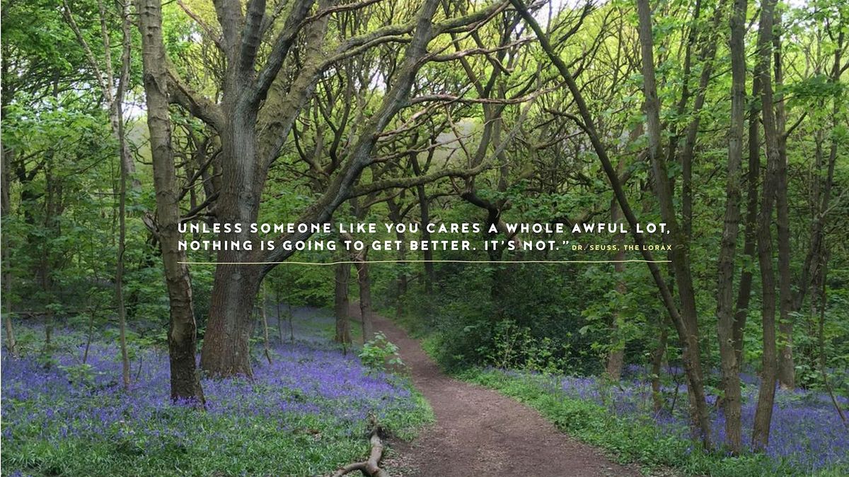 Tree Planting Western Flatts Cliff Park