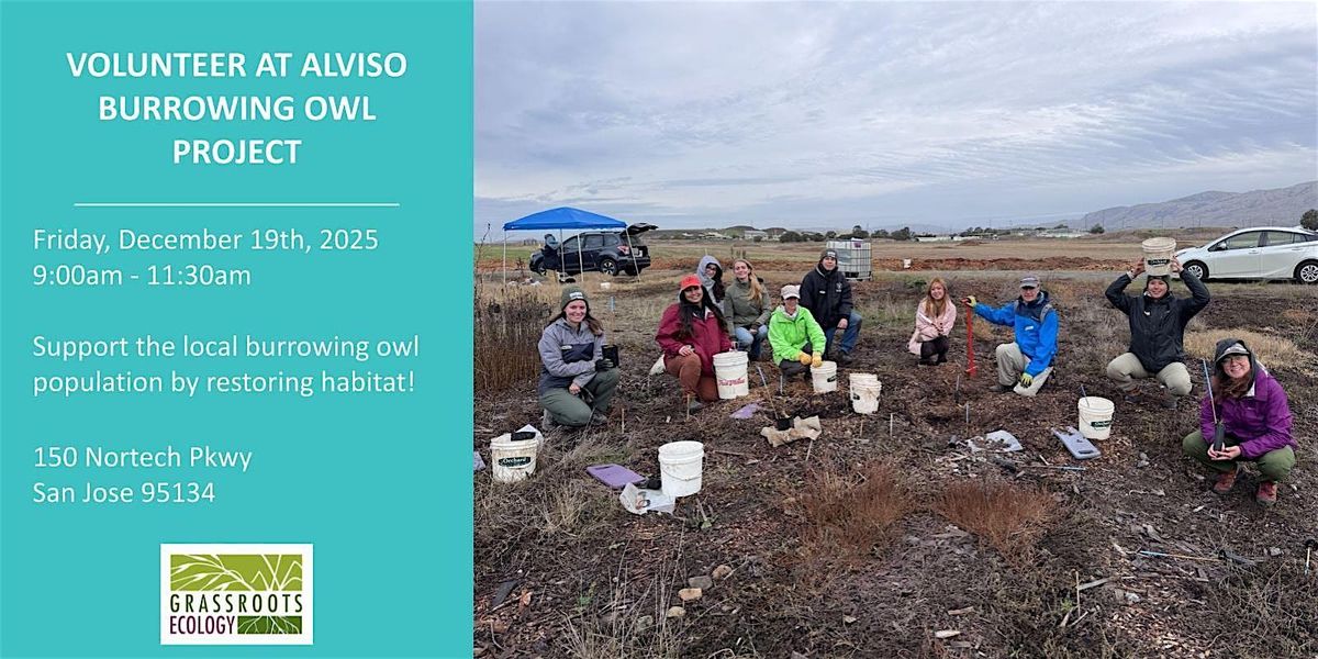 Volunteer Outdoors in Alviso at the Burrowing Owl Project (18+)