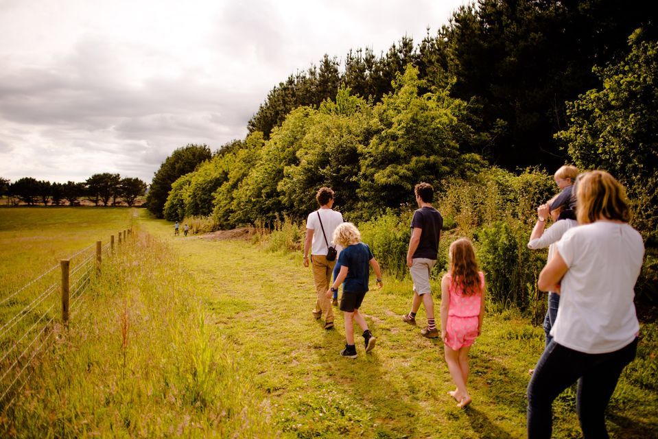 Nature Walks with Dave Fairlamb