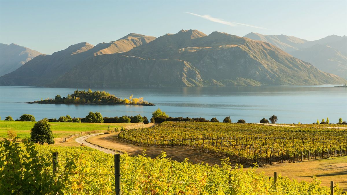 Wine Class - ISLAND WINES\ufe0f