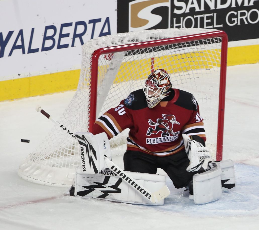 Tucson Roadrunners vs. Abbotsford Canucks