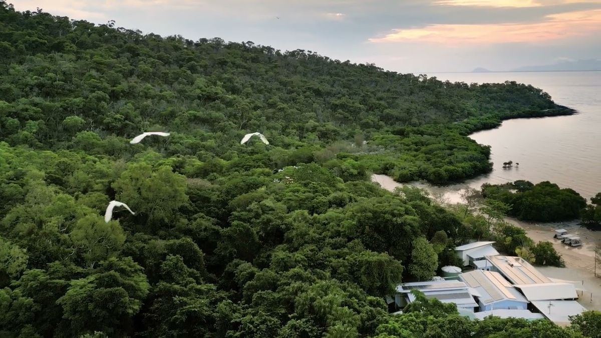 National Geographic Live: Diving the Great Barrier Reef