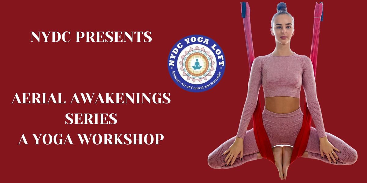 Aerial Awakenings Series A yoga workshop By NYDC