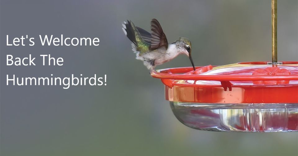 Lets Welcome Back The Hummingbirds! at Wild Birds Unlimited (7240 ...