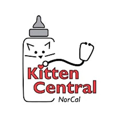 Kitten Central NorCal