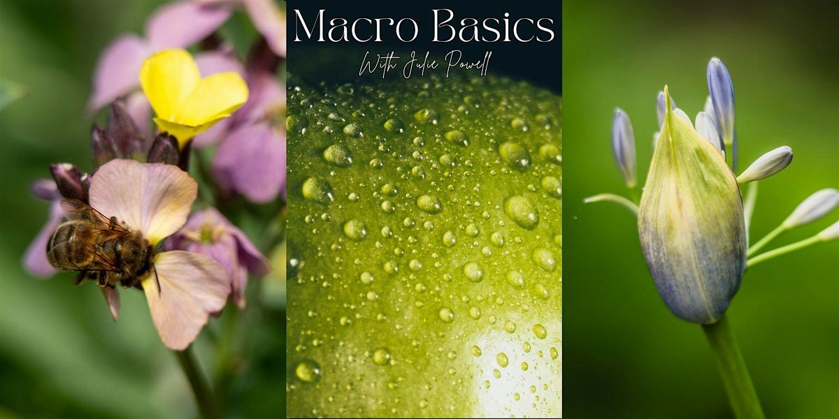 Macro Photography Basics