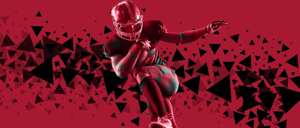 Atlanta Falcons at Minnesota Vikings Tickets