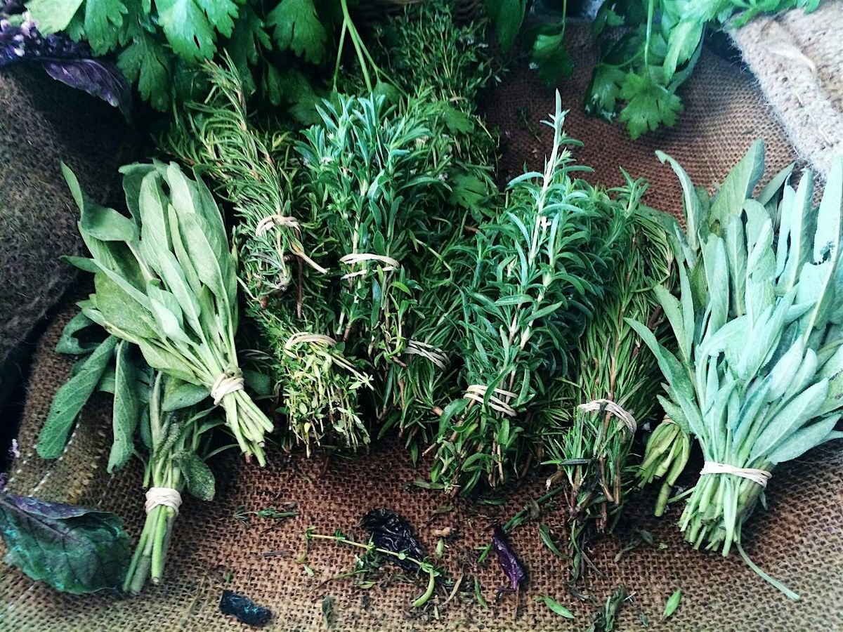 Herb Container Gardening Workshop