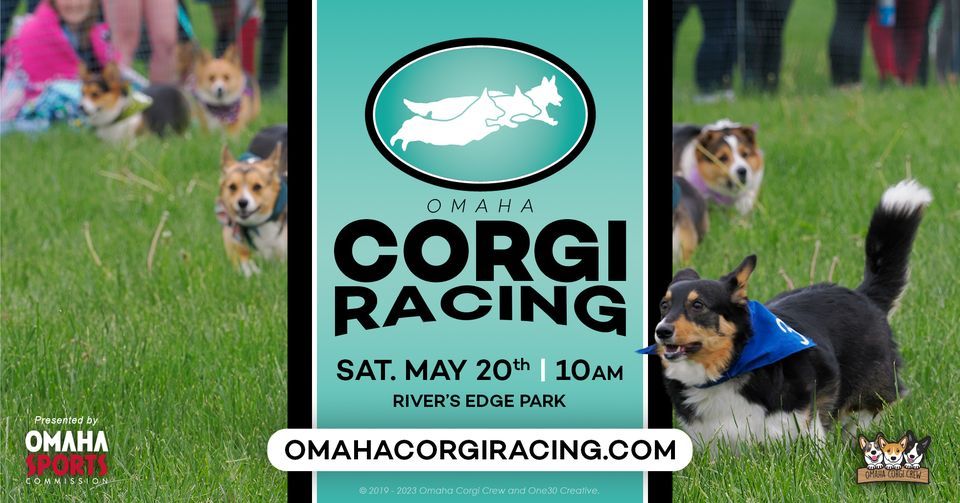 Corgi Races Nfl 2023 Omaha Corgi Races at River's Edge Council Bluffs on 20th May, 2023