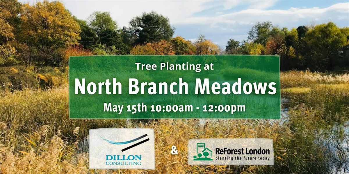 Tree Planting at North Branch Meadows