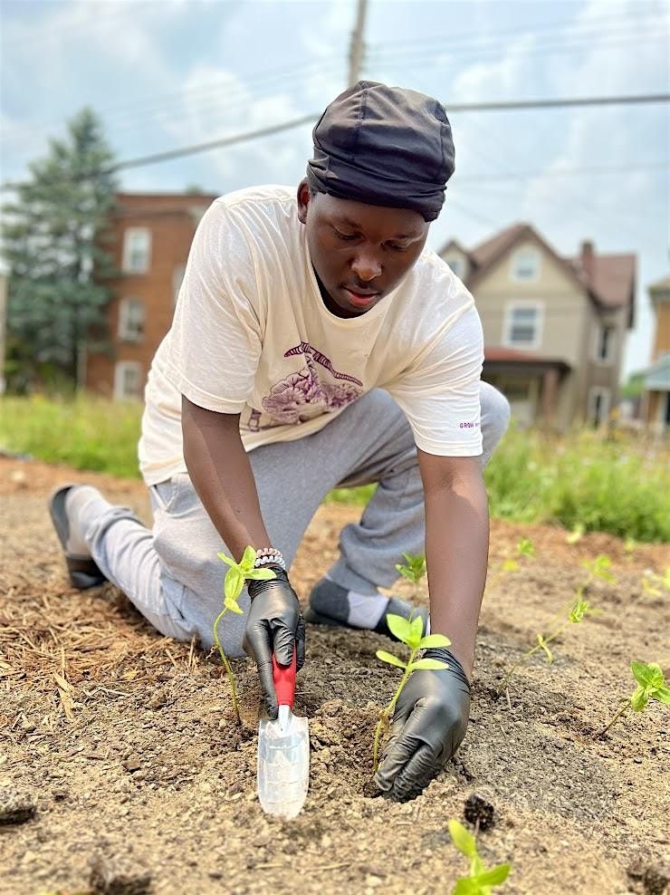 How to Test your Soil: Learning about soil lead and soil fertility