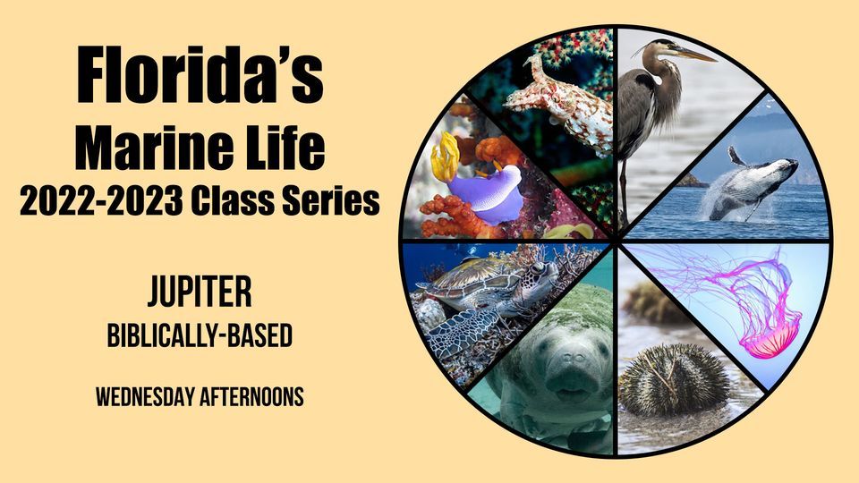 2022/2023 Floridas Marine Life Class Series | Jupiter | Dubois Park