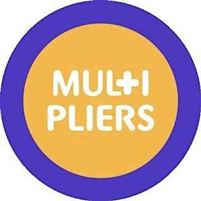 MULTIPLIERS project