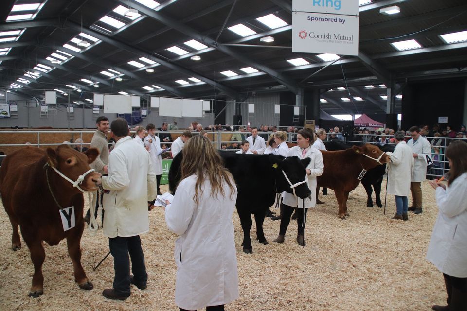 Cornish Winter Fair 2023 Royal Cornwall Events Centre, Newquay, EN