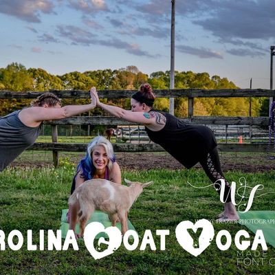 Carolina Goat Yoga