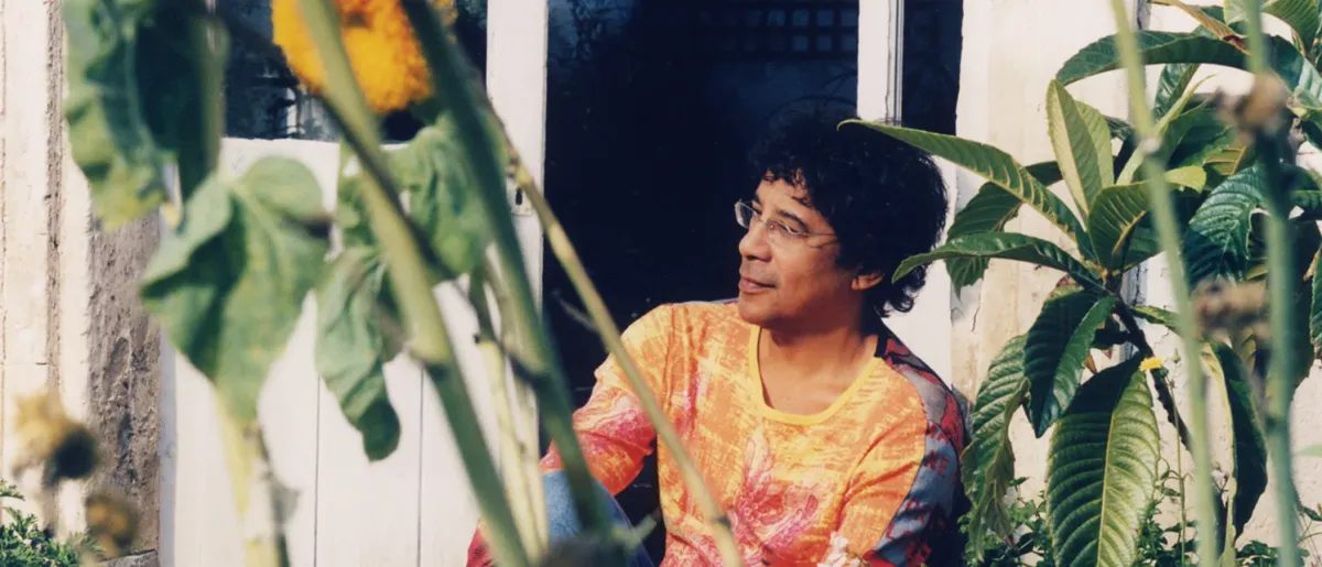 Laurent Voulzy in St Etienne