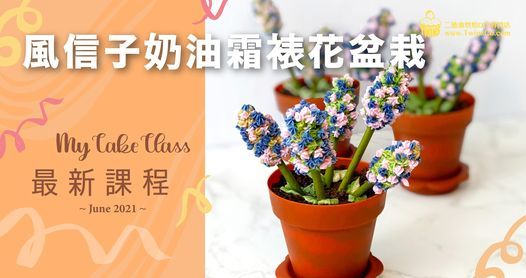 風信子奶油霜裱花盆栽 My Cake Class 二德惠 灣仔 Tseung Kwan O Hk June 12 21 風信子奶油霜裱花盆栽 My Cake Class 二德惠 灣仔 Tseung Kwan O Hk June 12 21