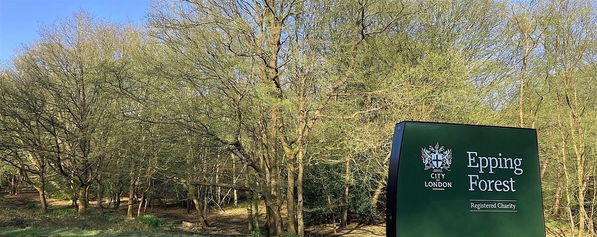 BGH x Epping Forest Heritage Trust: Family Walk in Epping Forest