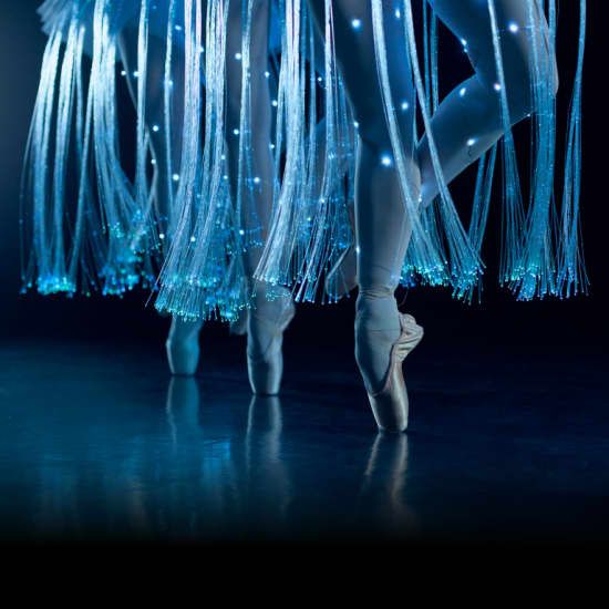 Ballet of Lights: Dornr\u00f6schen in einer funkelnden Show