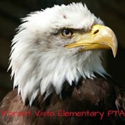 Forest Vista Elementary PTA