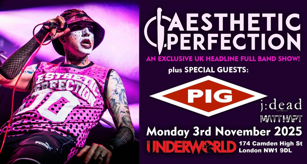 AESTHETIC PERFECTION + Special Guests: PIG + J:DEAD & MATT HART
