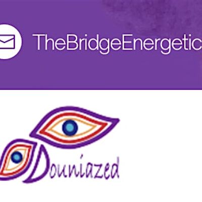 Douniazed Wong at The Bridge Energetics