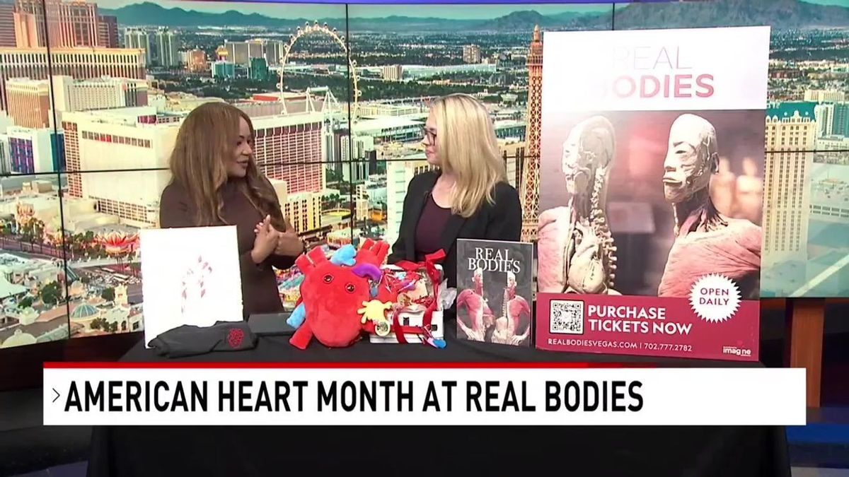 Real Bodies - Las Vegas