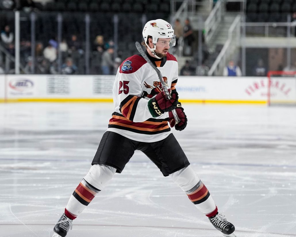 San Jose Barracuda vs. Tucson Roadrunners