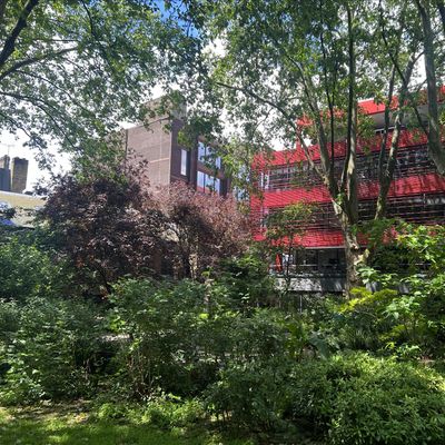 Friends of St John's Garden EC1