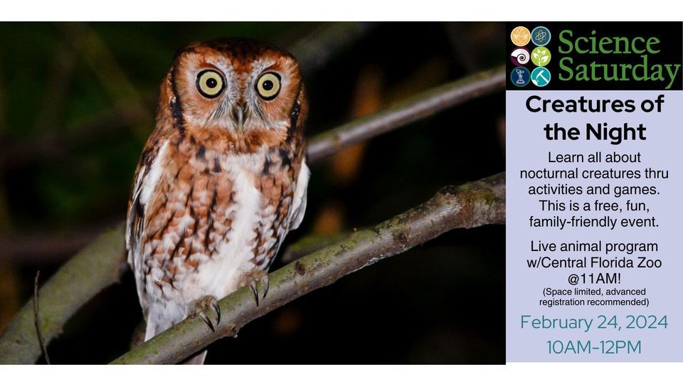 Science Saturday - Creatures of the Night