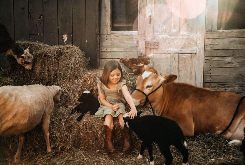 Farm Mini Sessions