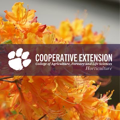 Clemson Extension Horticulture