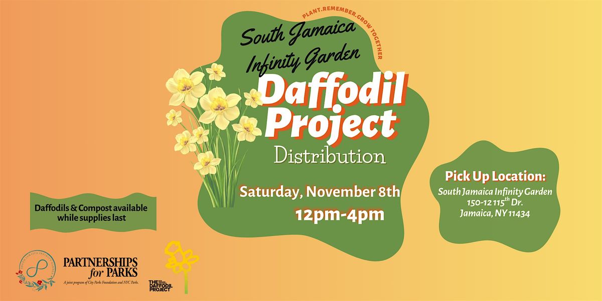 Daffodil Project Distribution At South Jamaica Infinity Garden