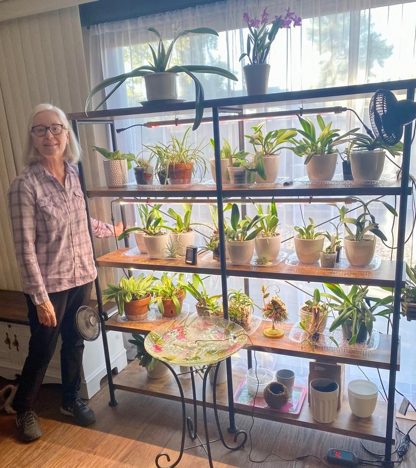 June Mtg: How to Grow orchids in your Home by Kaye Erwin