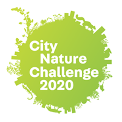 City Nature Challenge - The Maritimes