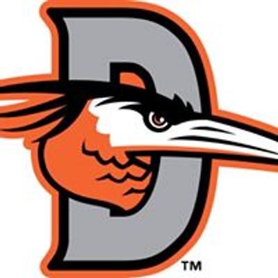 Delmarva Shorebirds