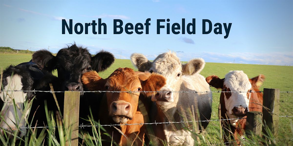 North Beef Field Day