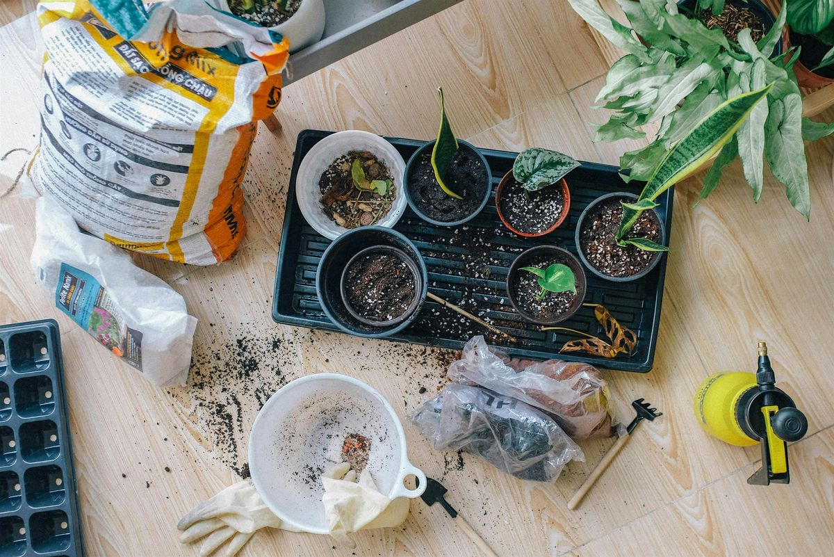 Plant Exchange