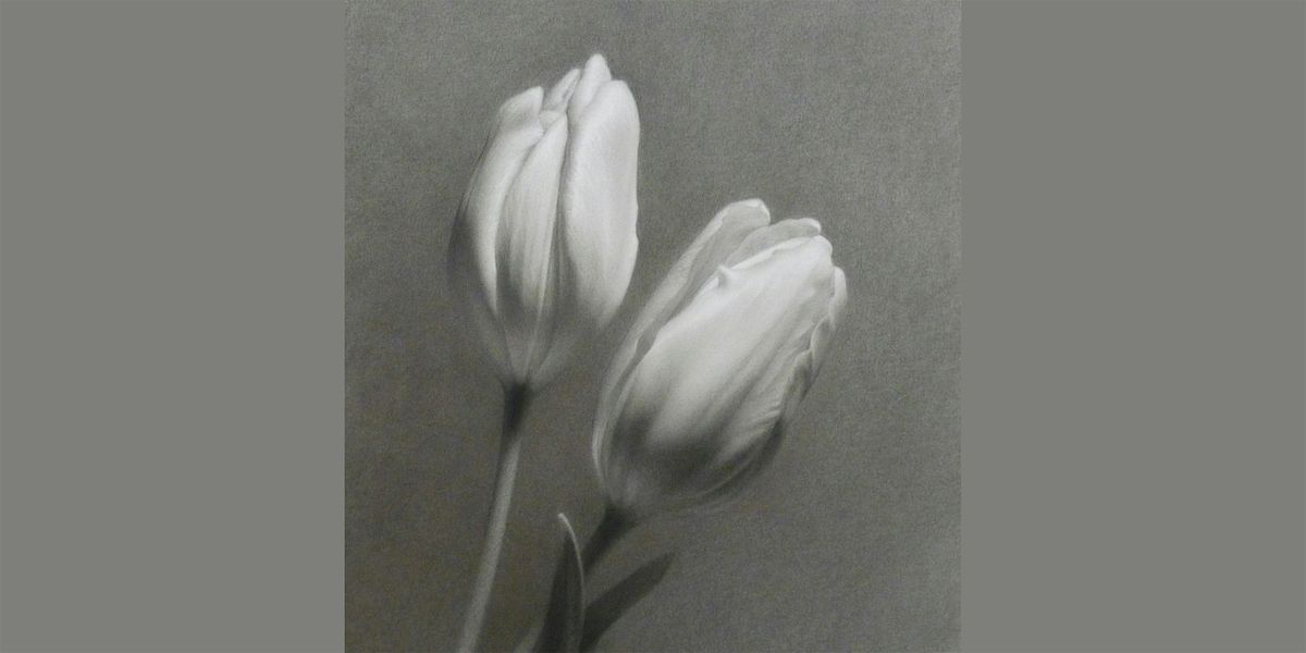 M. Joy Lemon-Luminous Florals in Charcoal and Chalk