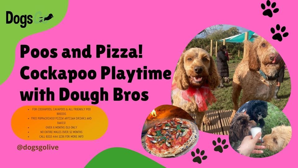Cockapoos & Pizza! ? Cockapoo / Cavapoo Playtime with Dough Bros Pizza