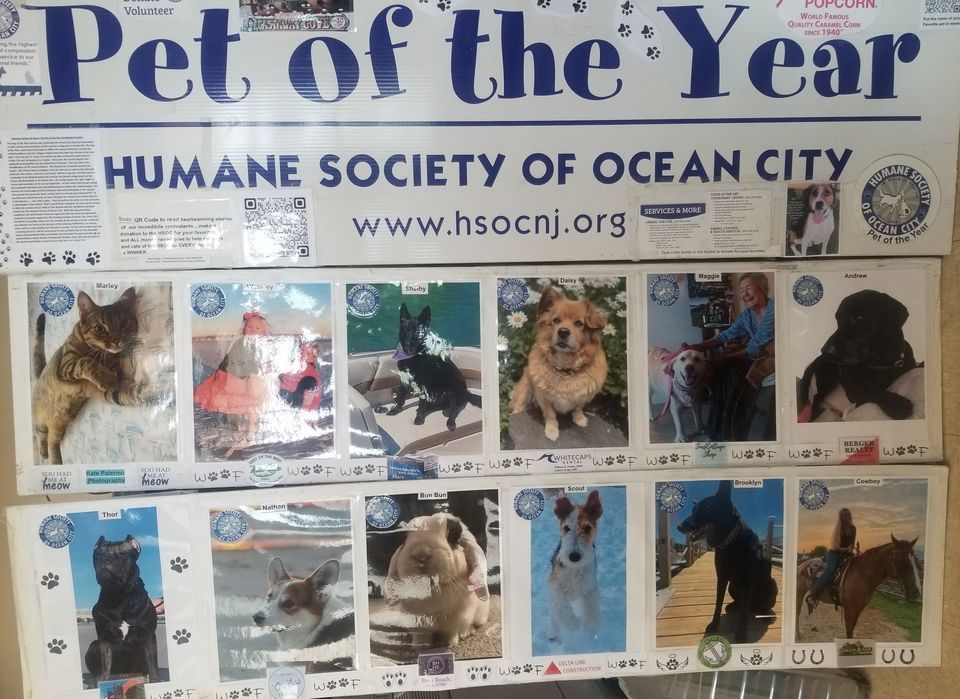 HSOC Pet of the Year Contest Ocean City Music Pier October 22, 2022