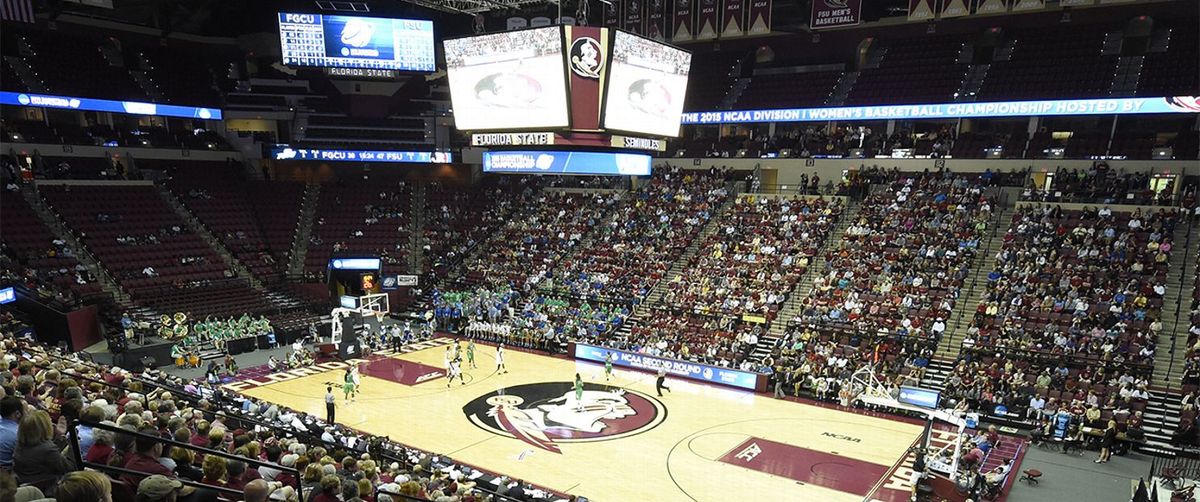 College of Charleston Cougars at Florida State Seminoles Womens Basketball