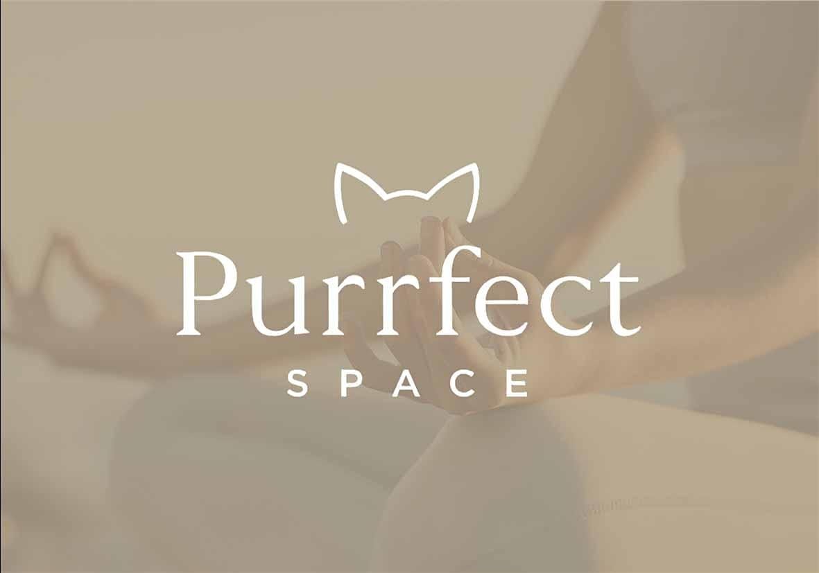 Cat Yoga (A Calm Space for All Minds & Bodies)