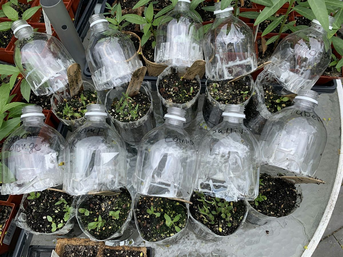 Winter Sowing at Wakeman Town Farm