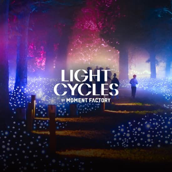 Light Cycles : Un parcours nocturne scintillant entre nature, lumi\u00e8re et sons