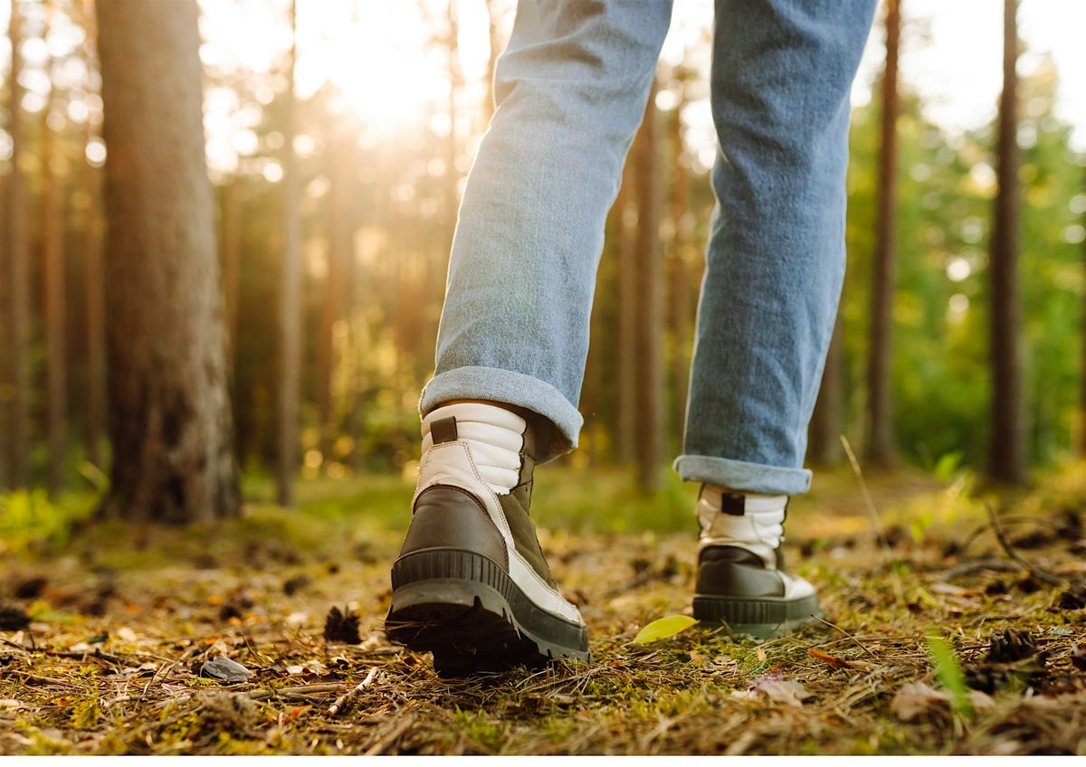 Compassion Focused Forest Bathing