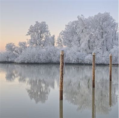 Winter Solstice Nature Healing Walk