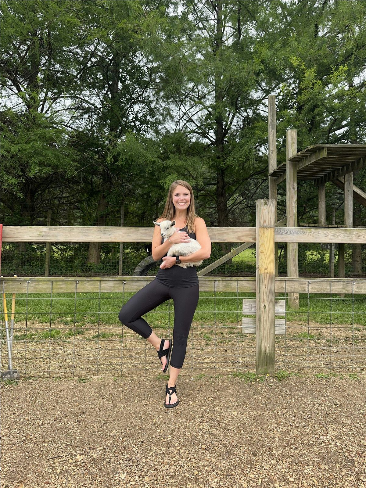 Baby Goat Yoga